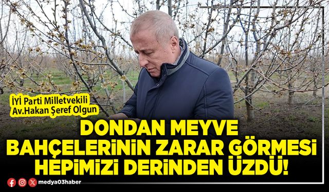 Dondan meyve bahçelerinin zarar görmesi hepimizi derinden üzdü!