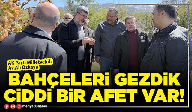 Bahçeleri gezdik, ciddi bir afet var!