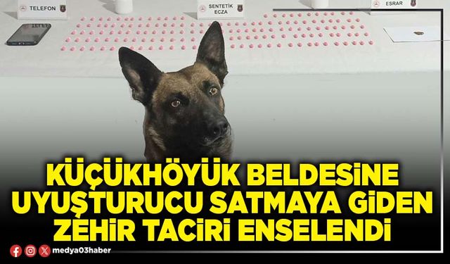 Küçükhöyük Beldesine uyuşturucu satmaya giden zehir taciri enselendi