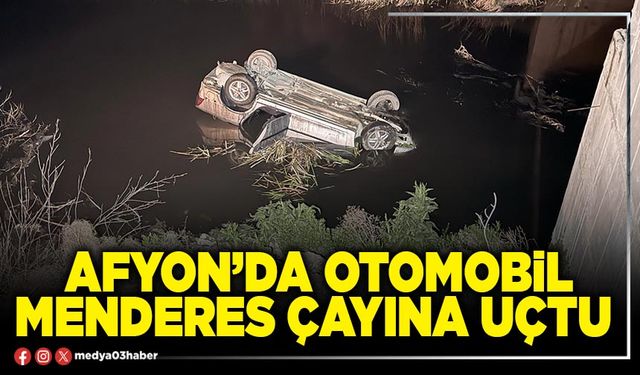 Afyon’da otomobil Menderes çayına uçtu