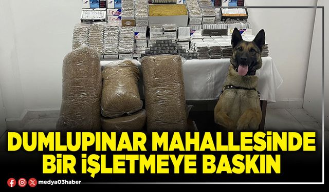Dumlupınar Mahallesinde bir işletmeye baskın