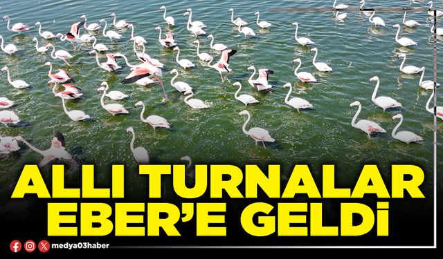 Allı Turnalar Eber’e geldi