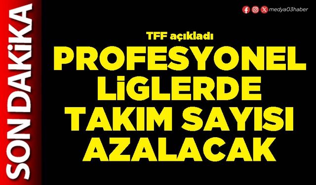 Profesyonel liglerde takım sayısı azalacak
