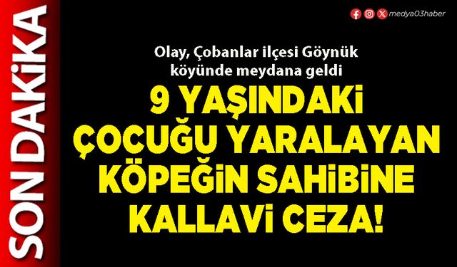 9 Yaşındaki çocuğu yaralayan köpeğin sahibine kallavi ceza!