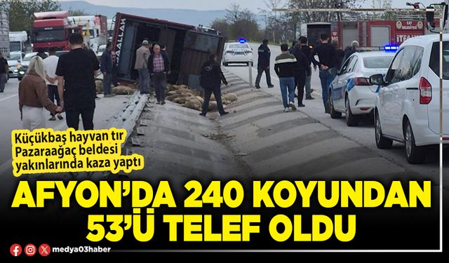 Afyon’da 240 koyundan 53’ü telef oldu