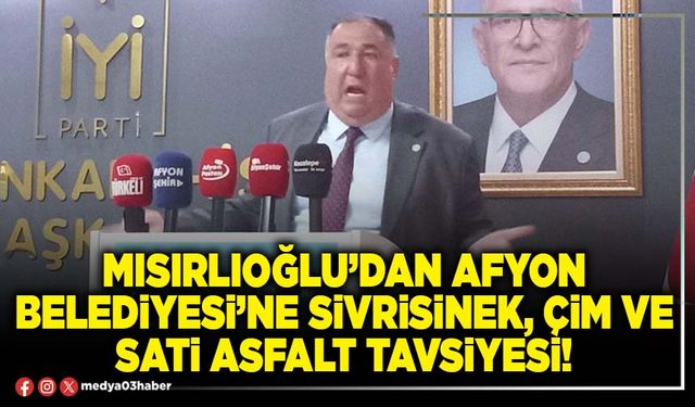 Mısırlıoğlu’dan Afyon Belediyesi’ne sivrisinek, çim ve sati asfalt tavsiyesi!