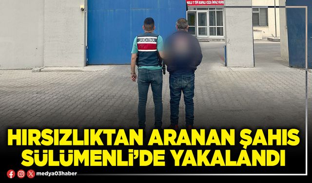 Hırsızlıktan aranan şahıs Sülümenli’de yakalandı