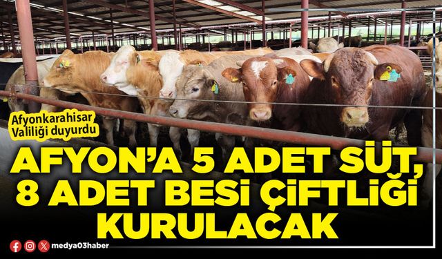 Afyon’a 5 adet süt, 8 adet besi çiftliği kurulacak