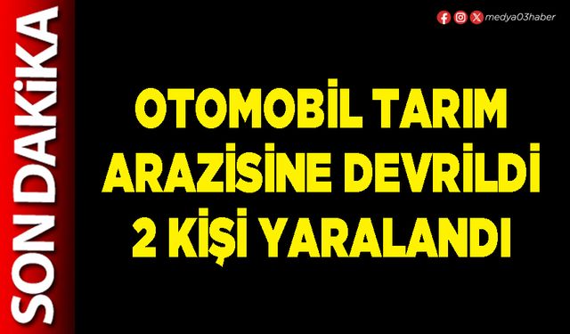 Otomobil tarım arazisine devrildi 2 kişi yaralandı