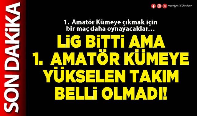 Lig bitti ama 1. Amatör kümeye yükselen takım belli olmadı!
