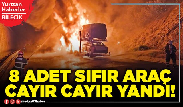 8 adet sıfır araç cayır cayır yandı!