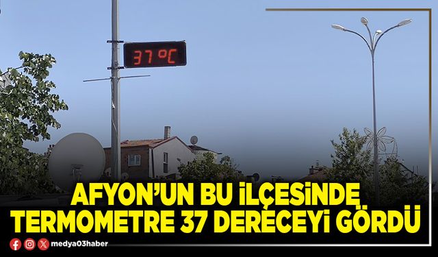 Afyon’un bu ilçesinde termometre 37 dereceyi gördü