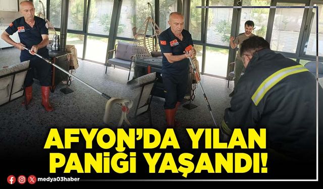 Afyon’da yılan paniği yaşandı!