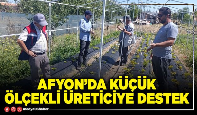 Afyon’da küçük ölçekli üreticiye destek