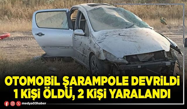 Otomobil şarampole devrildi 1 kişi öldü, 2 kişi yaralandı