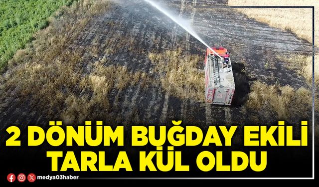 2 dönüm buğday ekili tarla kül oldu