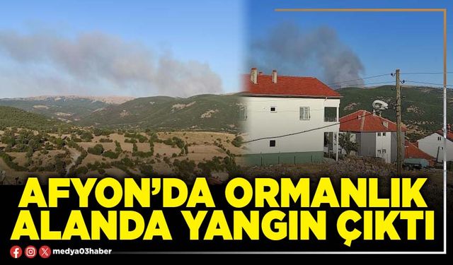 Afyon’da Ormanlık Alanda Yangın Çıktı