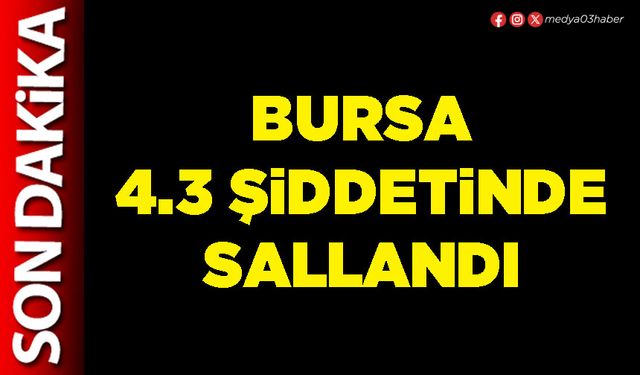 Bursa 4.3 şiddetinde sallandı