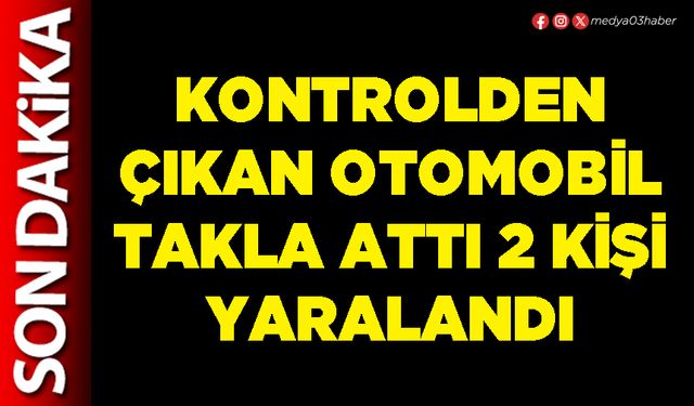 Kontrolden çıkan otomobil takla attı 2 kişi yaralandı