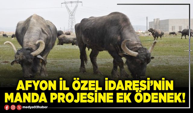 Afyon İl Özel İdaresi’nin manda projesine ek ödenek!