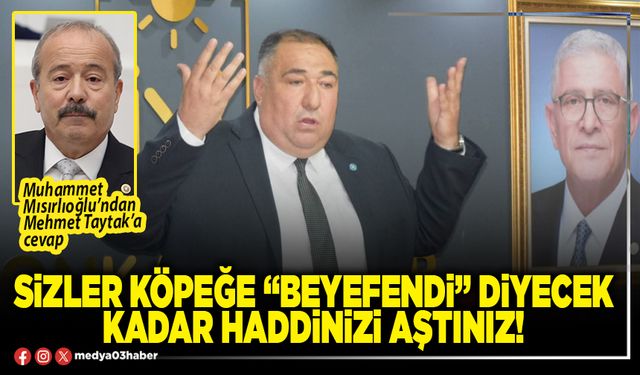 Sizler köpeğe “Beyefendi” diyecek kadar haddinizi aştınız!