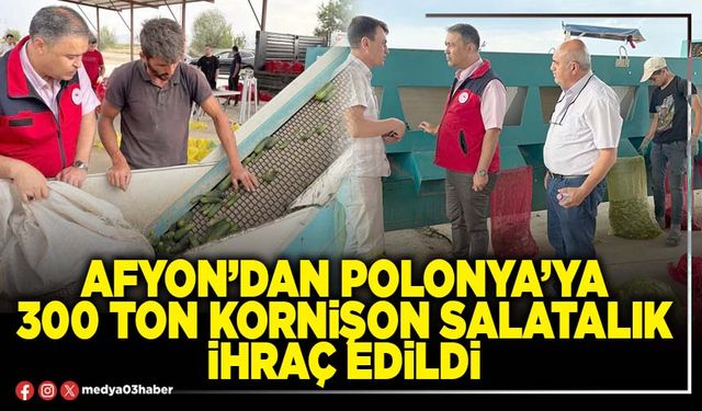 Afyon’dan Polonya’ya 300 ton kornişon salatalık ihraç edildi