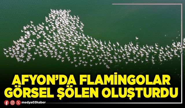 Afyon’da Flamingolar görsel şölen oluşturdu