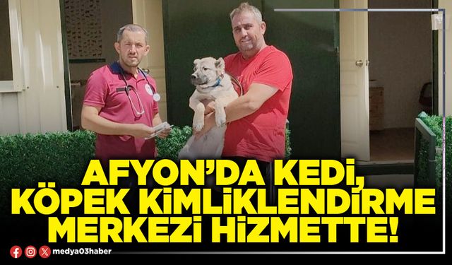 Afyon’da kedi, köpek kimliklendirme merkezi hizmette!