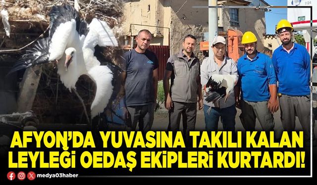 Afyon’da yuvasına takılı kalan leyleği oedaş ekipleri kurtardı!