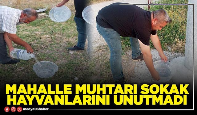 Mahalle Muhtarı sokak hayvanlarını unutmadı