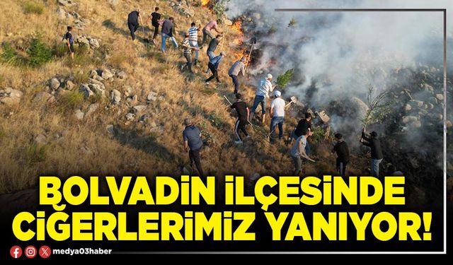 Bolvadin ilçesinde ciğerlerimiz yanıyor!