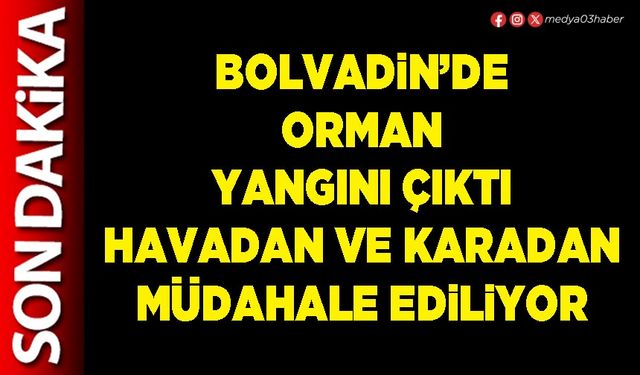Bolvadin’de orman yangını çıktı