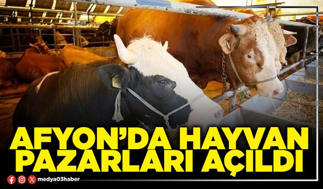 Afyon’da hayvan pazarları açıldı