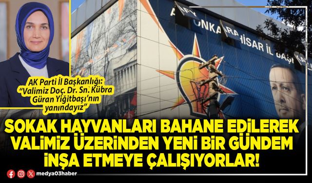 Sokak hayvanları bahane edilerek Valimiz üzerinden yeni bir gündem inşa etmeye çalışıyorlar!