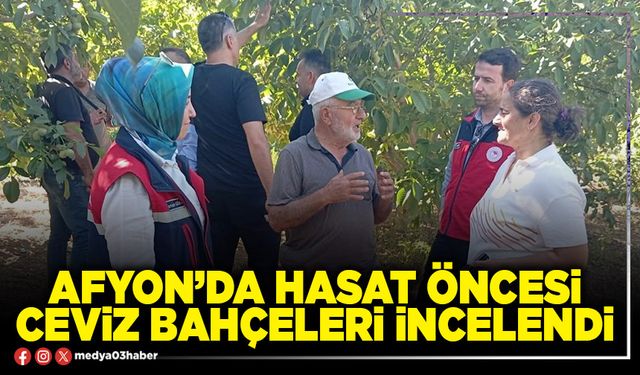 Afyon’da hasat öncesi ceviz bahçeleri incelendi