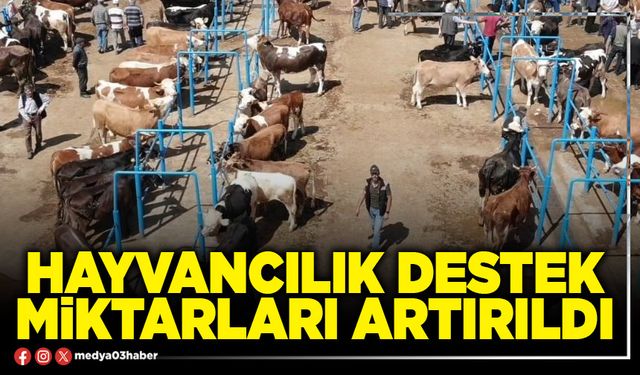 Hayvancılık destek miktarları artırıldı