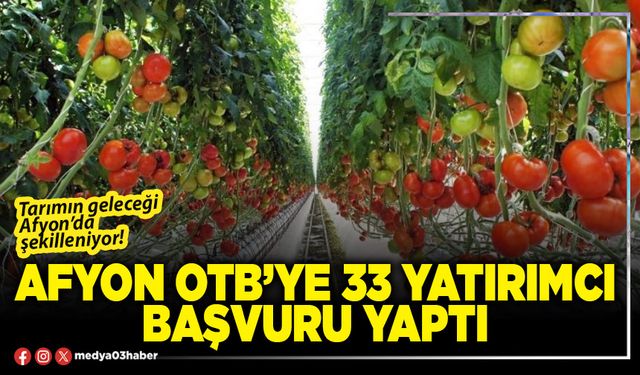 Afyon OTB’ye 33 yatırımcı başvuru yaptı