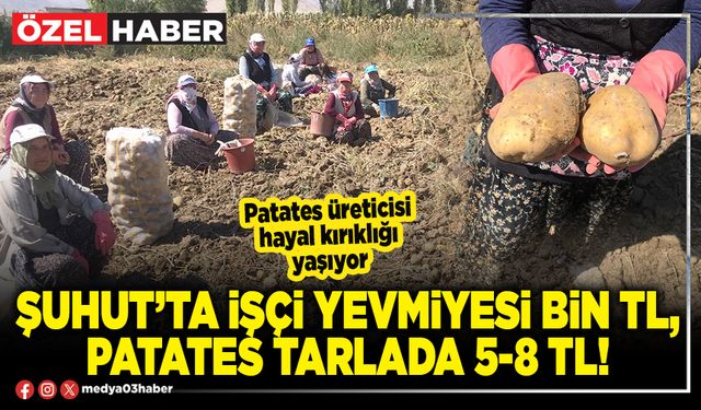 Şuhut’ta işçi yevmiyesi Bin TL, patates tarlada 5-8 TL!