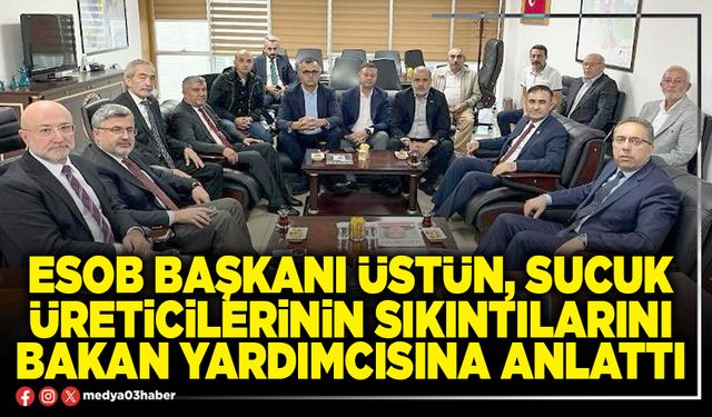 ESOB Başkanı Üstün, sucuk üreticilerinin sıkıntılarını Bakan Yardımcısına anlattı