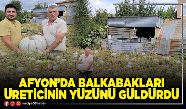 Afyon’da balkabakları üreticinin yüzünü güldürdü