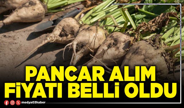 Pancar alım fiyatı belli oldu