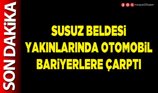 Susuz Beldesi yakınlarında otomobil bariyerlere çarptı