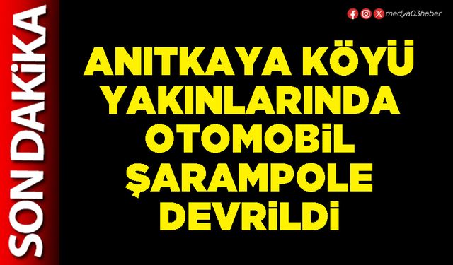 Anıtkaya Köyü yakınlarında otomobil şarampole devrildi