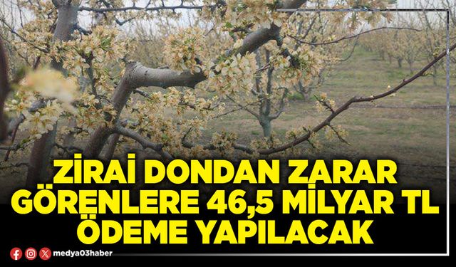 Zirai dondan zarar görenlere 46,5 Milyar TL ödeme yapılacak
