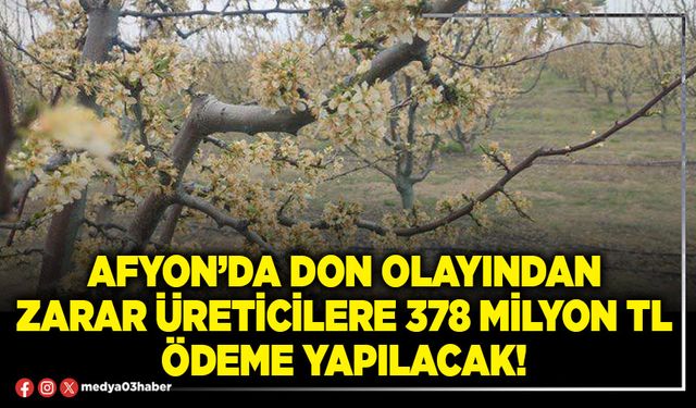 Afyon’da don olayından zarar üreticilere 378 Milyon TL ödeme yapılacak!
