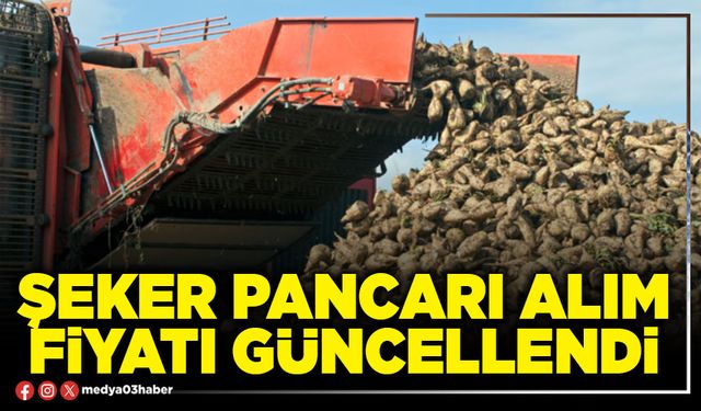 Şeker pancarı alım fiyatı güncellendi