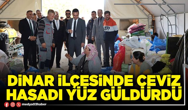 Dinar İlçesinde ceviz hasadı yüz güldürdü