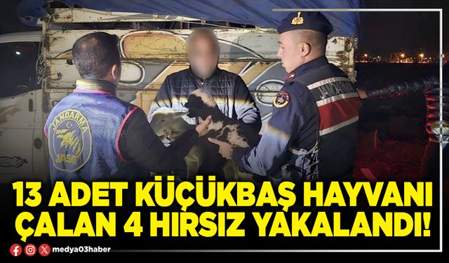 13 adet küçükbaş hayvanı çalan 4 hırsız yakalandı!