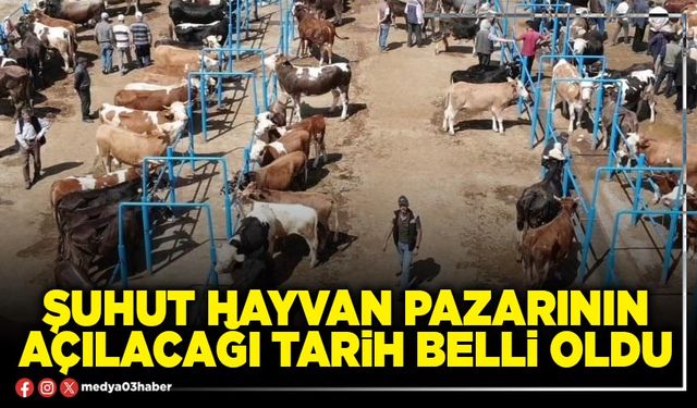 Şuhut Hayvan Pazarının açılacağı tarih belli oldu