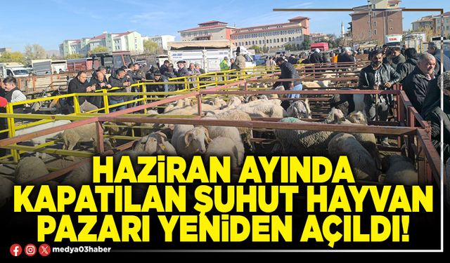 Haziran ayında kapatılan Şuhut hayvan pazarı yeniden açıldı!